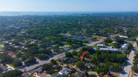 1656 Brae Moor Lane Dunedin FL 34698