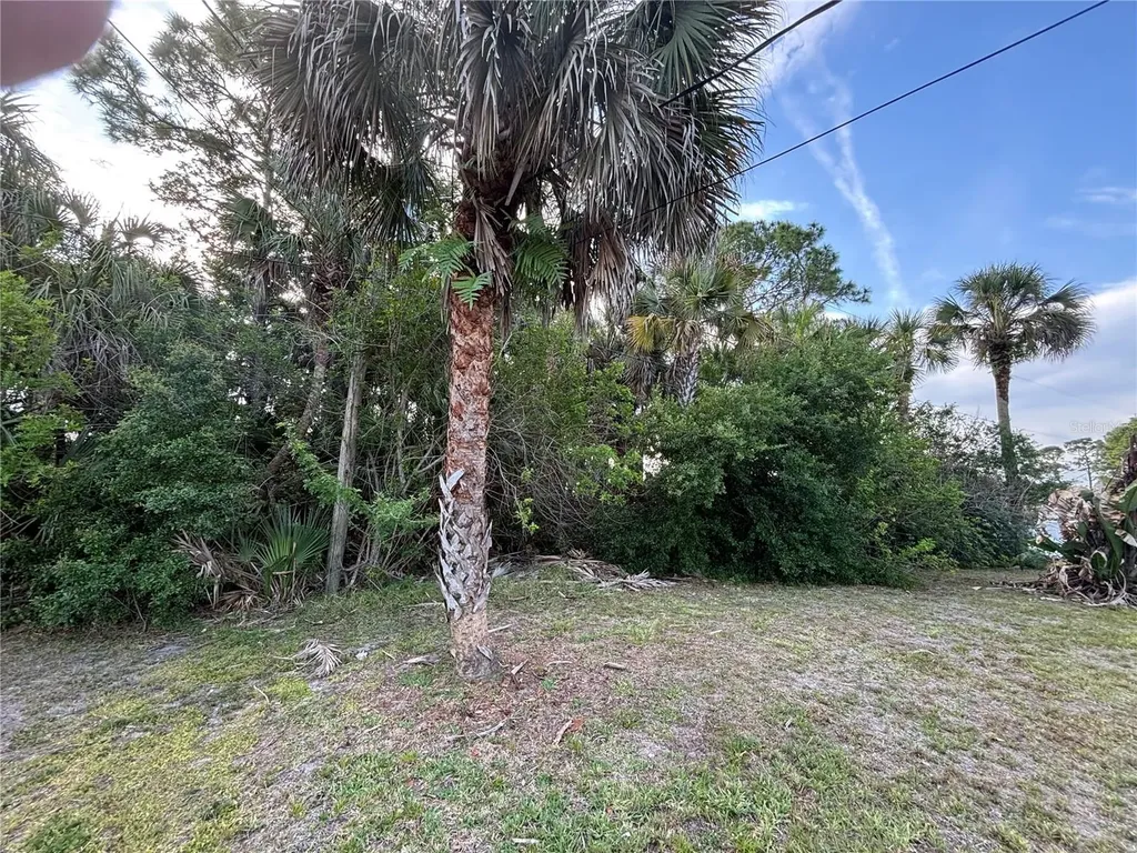 556 Burlington Avenue NE Palm Bay FL 32907