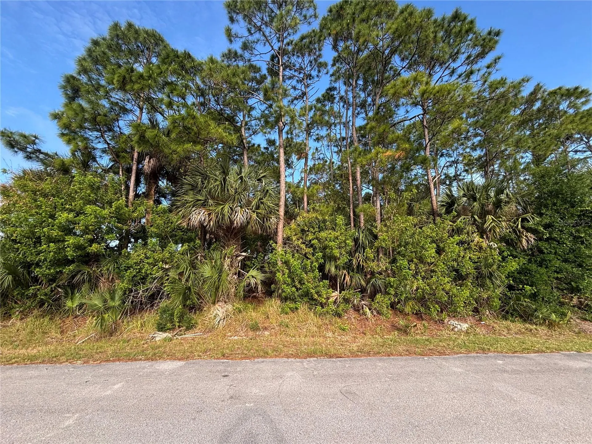556 Burlington Avenue NE Palm Bay FL 32907