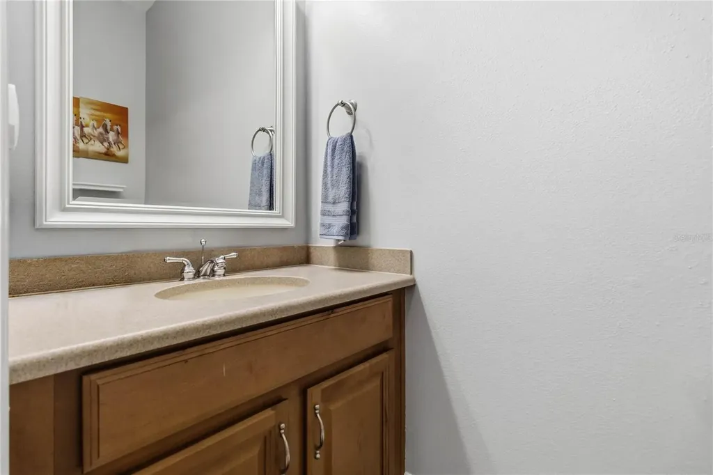 2107 Velvet Leaf Drive Ocoee FL 34761