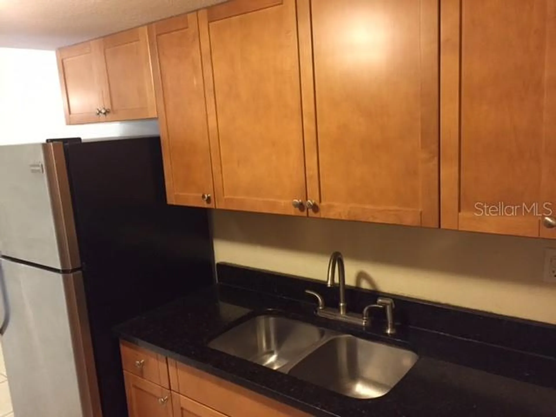5221 Bayshore Boulevard Tampa FL 33611