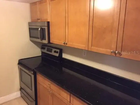 5221 Bayshore Boulevard Tampa FL 33611