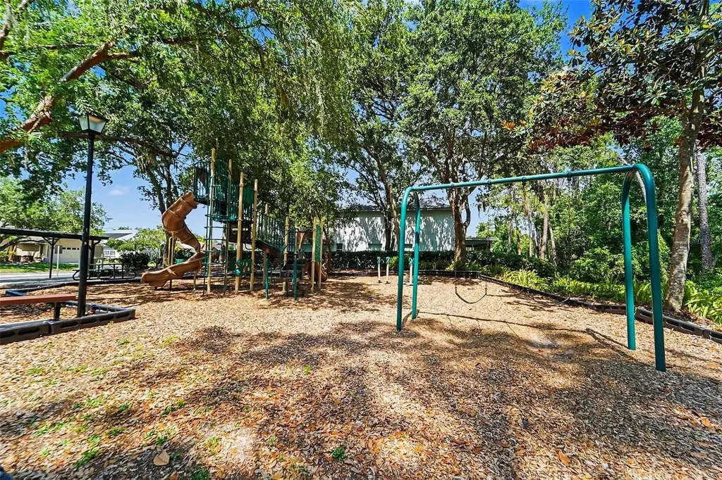 19717 Wyndham Lakes Drive Odessa FL 33556
