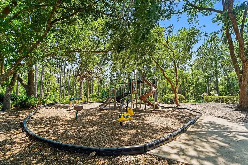 19717 Wyndham Lakes Drive Odessa FL 33556