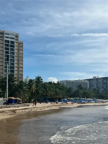 16 Amapola Carolina PR 00979