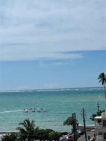 16 Amapola Carolina PR 00979