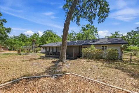 4202 NW 15th Place Gainesville FL 32605