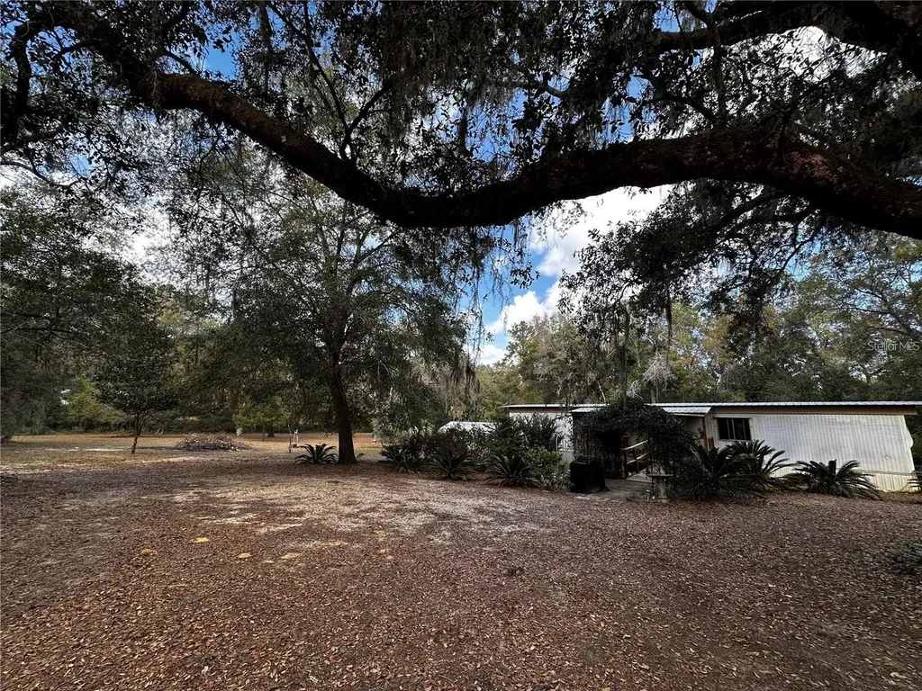 12212 NE 238th Terrace Salt Springs FL 32134