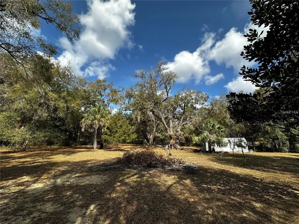 12212 NE 238th Terrace Salt Springs FL 32134