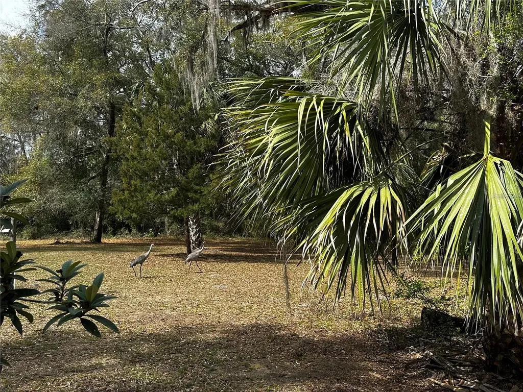 12212 NE 238th Terrace Salt Springs FL 32134