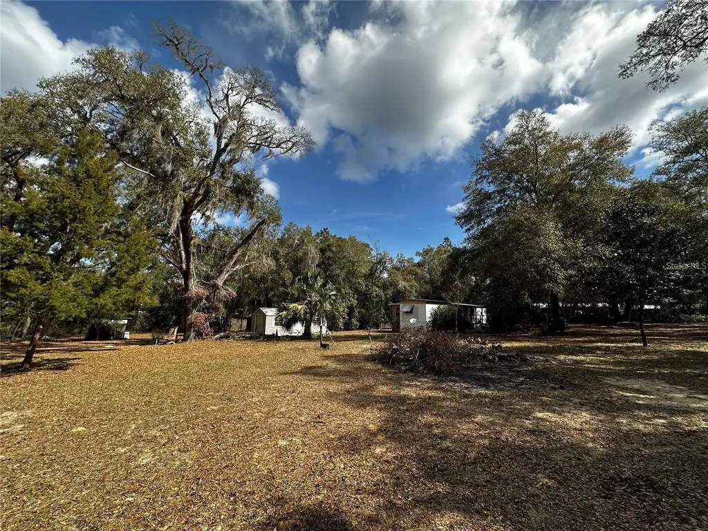 12212 NE 238th Terrace Salt Springs FL 32134