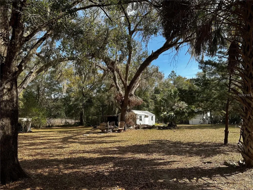 12212 NE 238th Terrace Salt Springs FL 32134