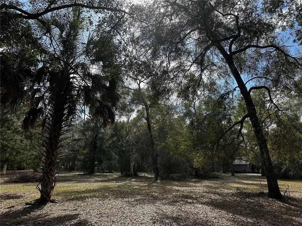 12212 NE 238th Terrace Salt Springs FL 32134