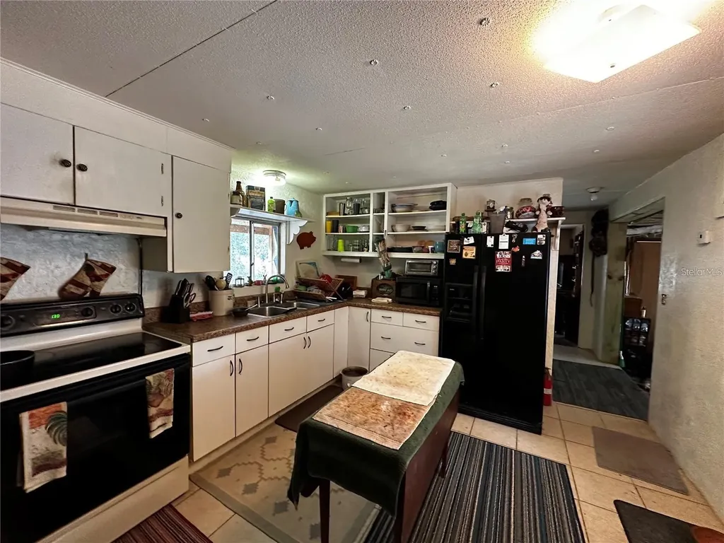 12212 NE 238th Terrace Salt Springs FL 32134