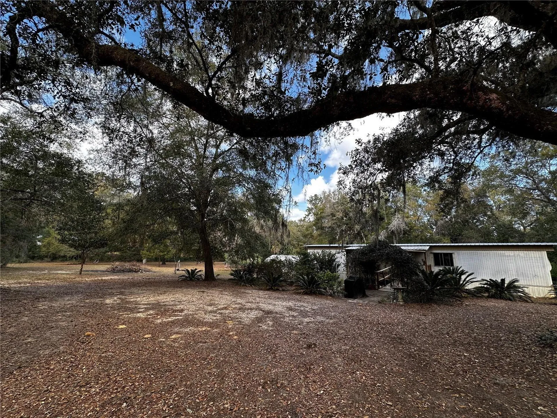 12212 NE 238th Terrace Salt Springs FL 32134