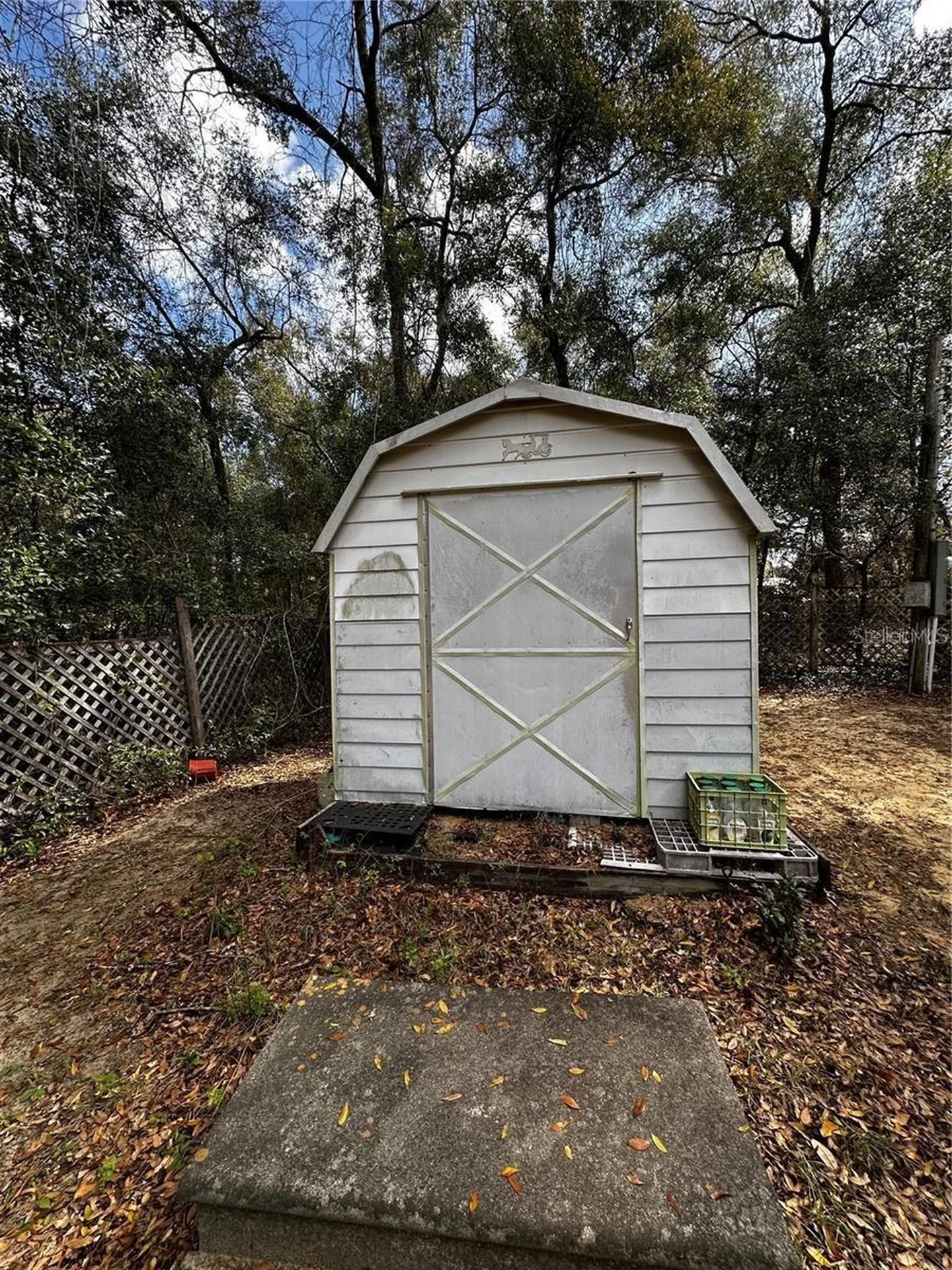 12212 NE 238th Terrace Salt Springs FL 32134