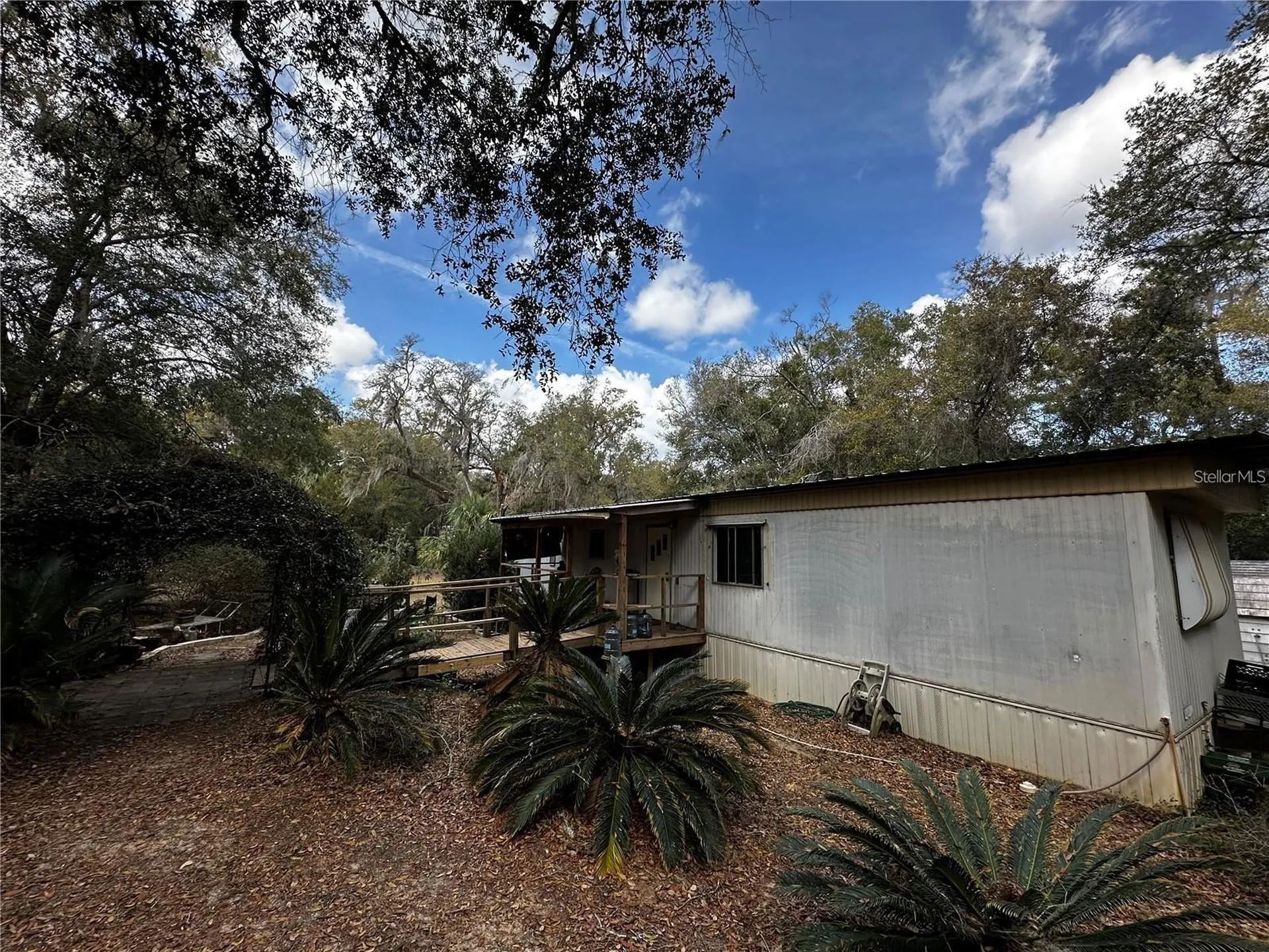 12212 NE 238th Terrace Salt Springs FL 32134
