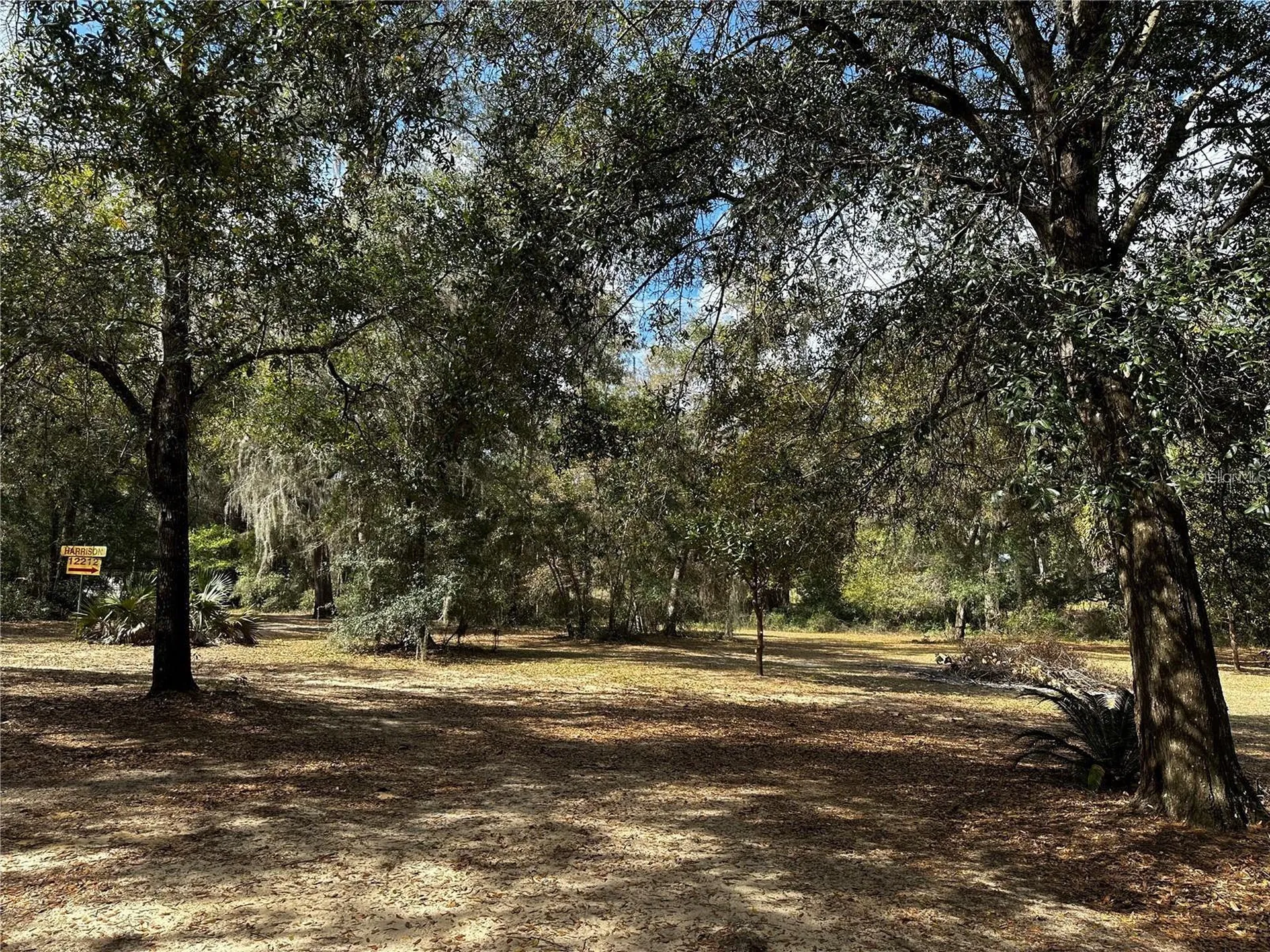 12212 NE 238th Terrace Salt Springs FL 32134