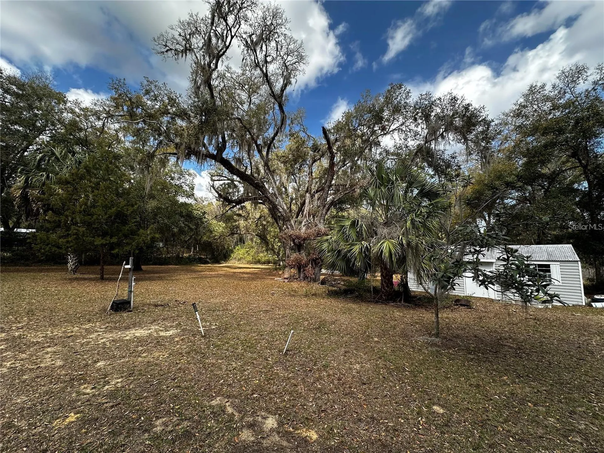 12212 NE 238th Terrace Salt Springs FL 32134