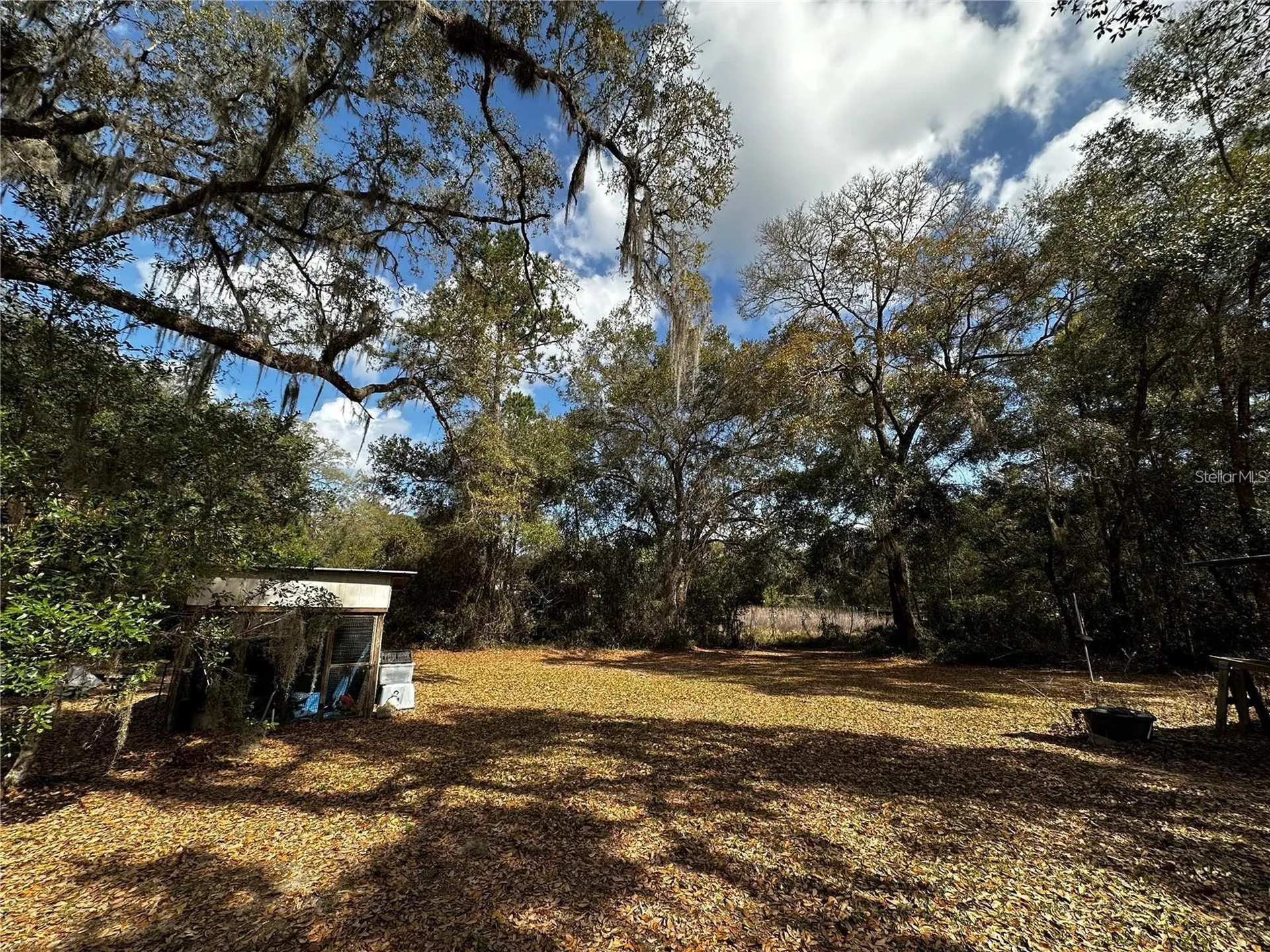 12212 NE 238th Terrace Salt Springs FL 32134