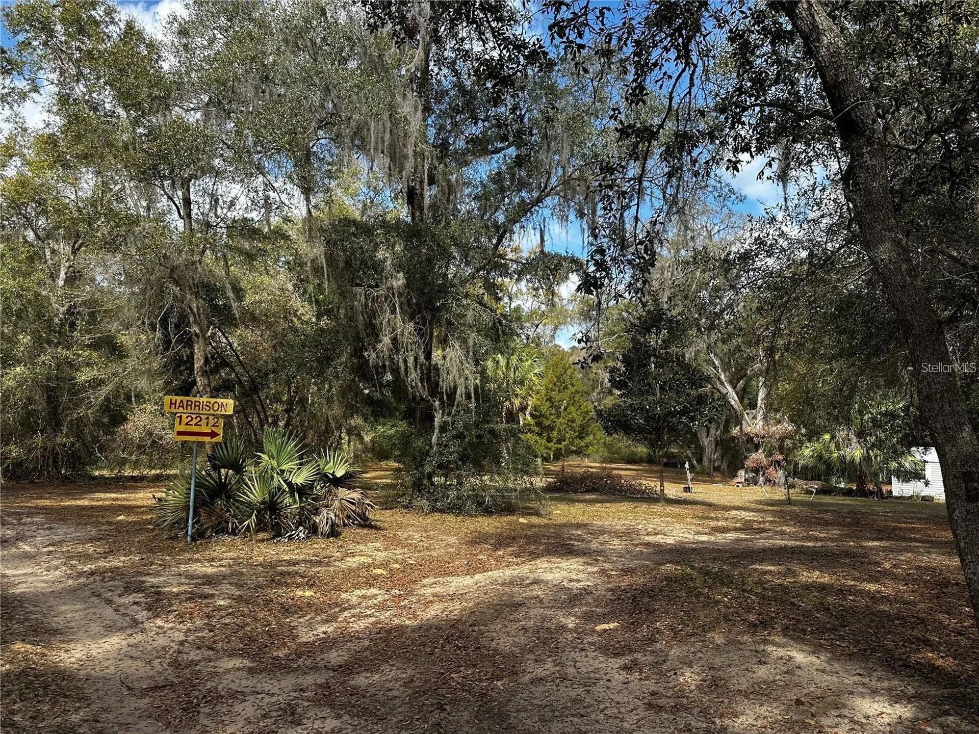 12212 NE 238th Terrace Salt Springs FL 32134