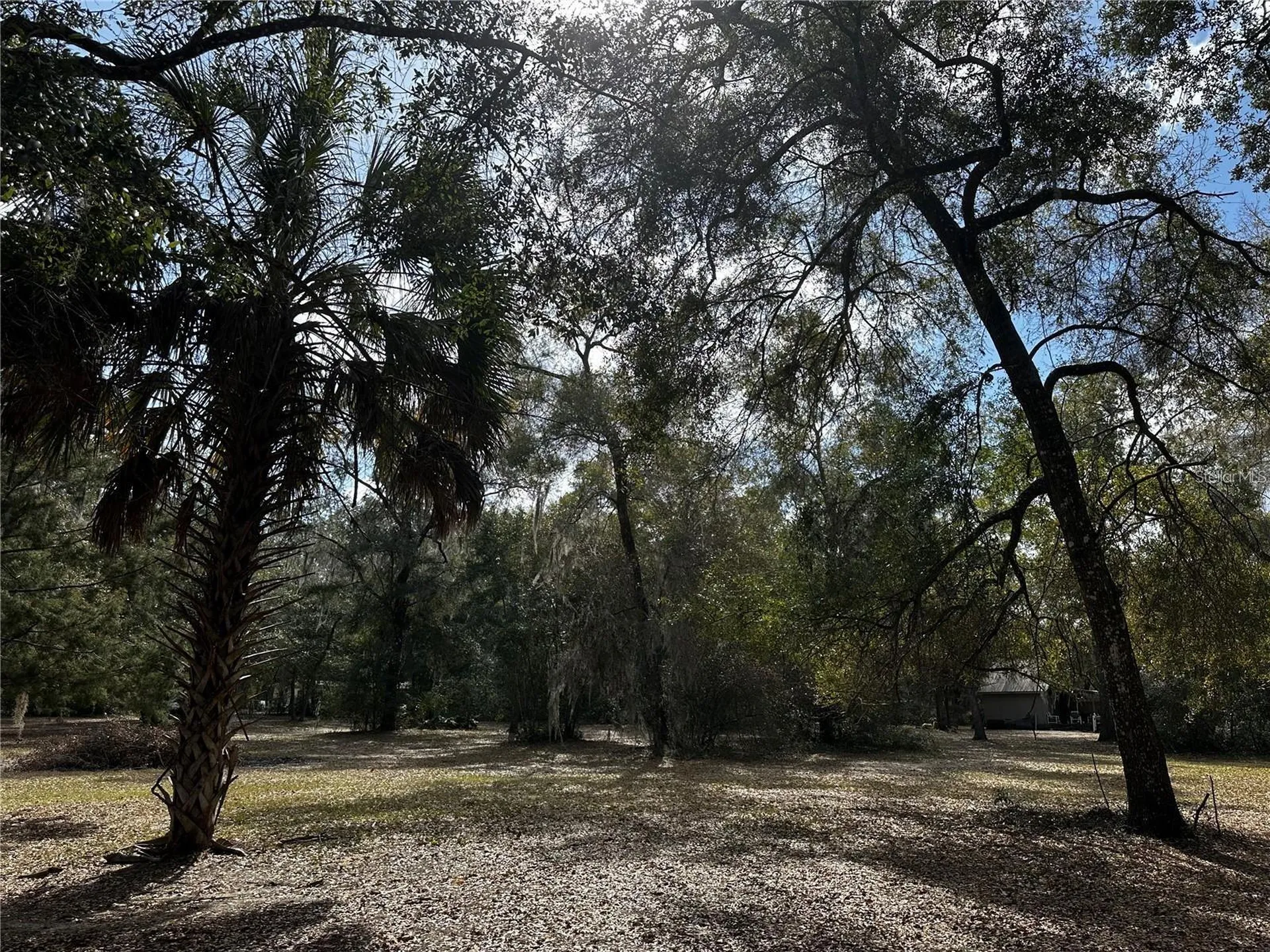 12212 NE 238th Terrace Salt Springs FL 32134