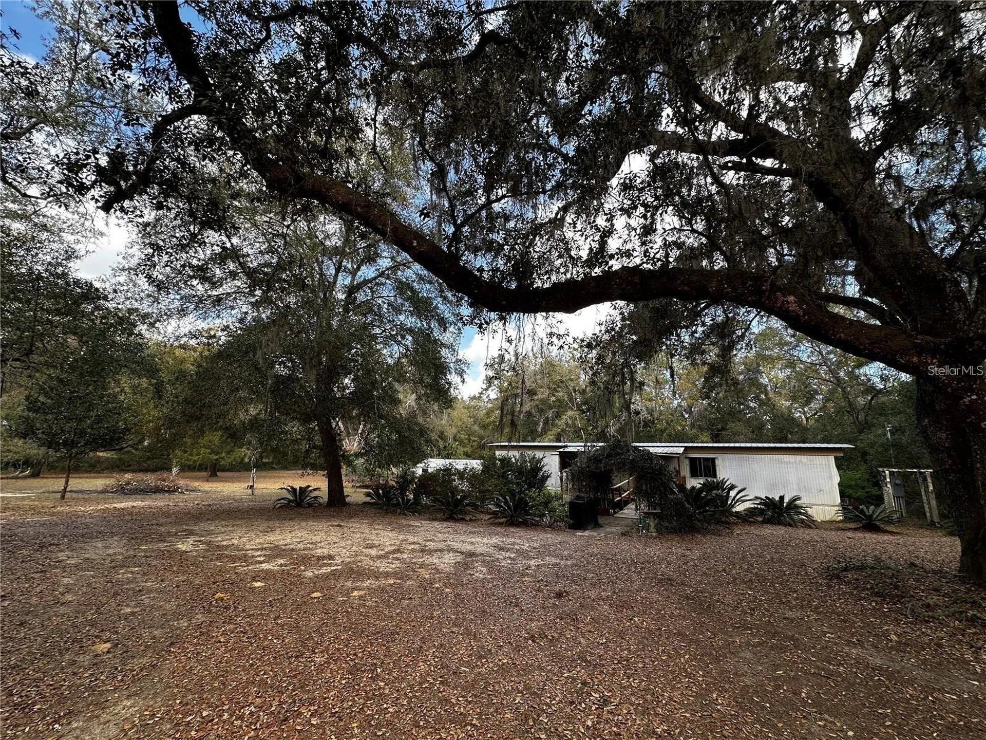 12212 NE 238th Terrace Salt Springs FL 32134