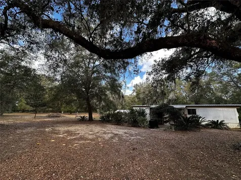 12212 NE 238th Terrace Salt Springs FL 32134