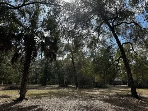 12212 NE 238th Terrace Salt Springs FL 32134