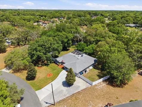 11503 Trumbull Drive Spring Hill FL 34609