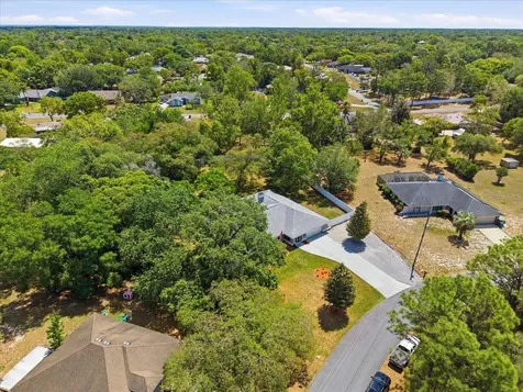11503 Trumbull Drive Spring Hill FL 34609