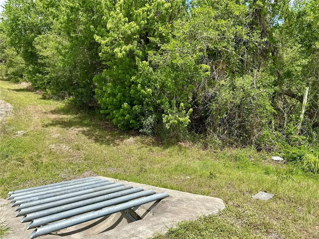 Bronco Drive Zolfo Springs FL 33890