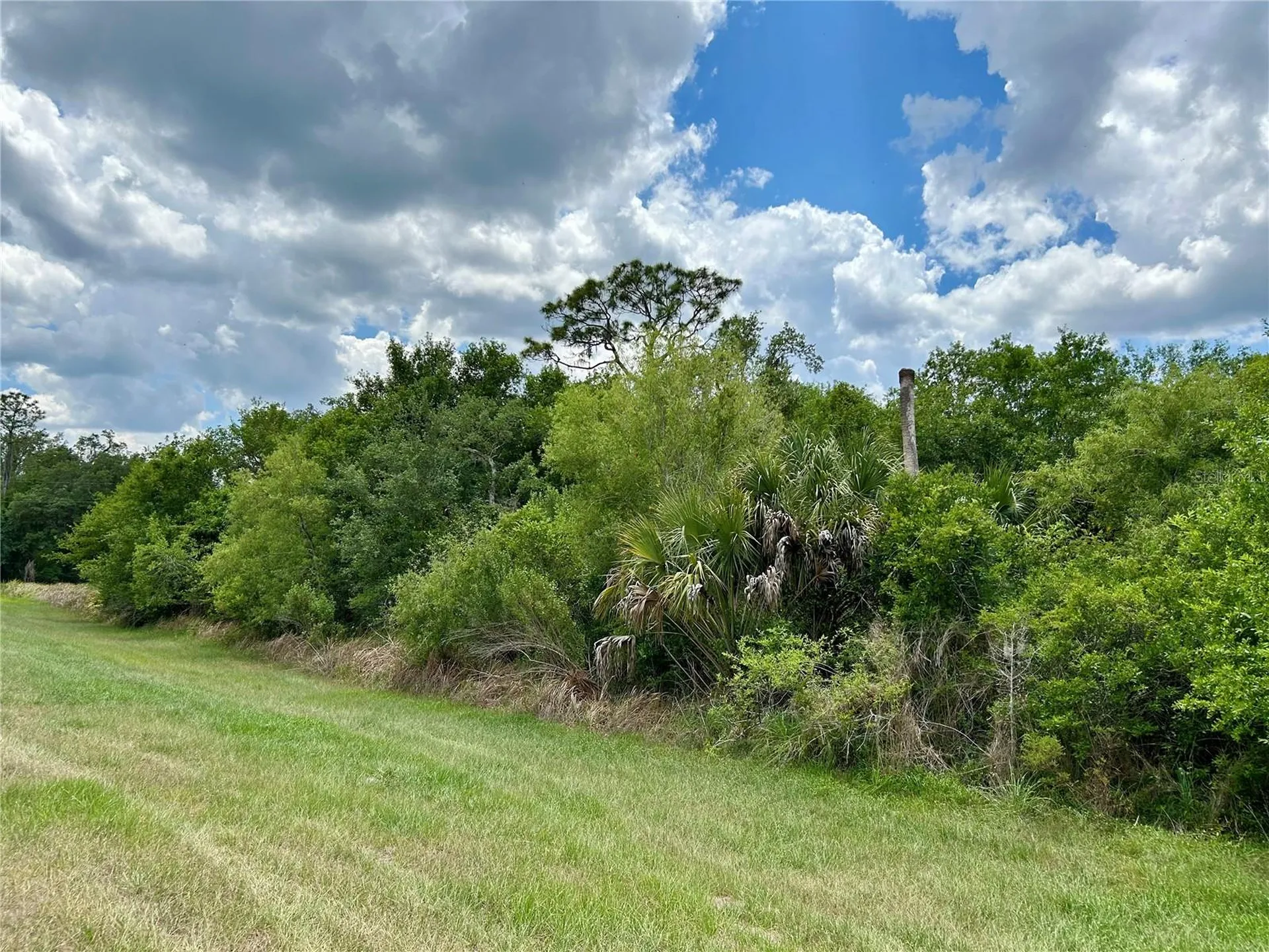 Bronco Drive Zolfo Springs FL 33890
