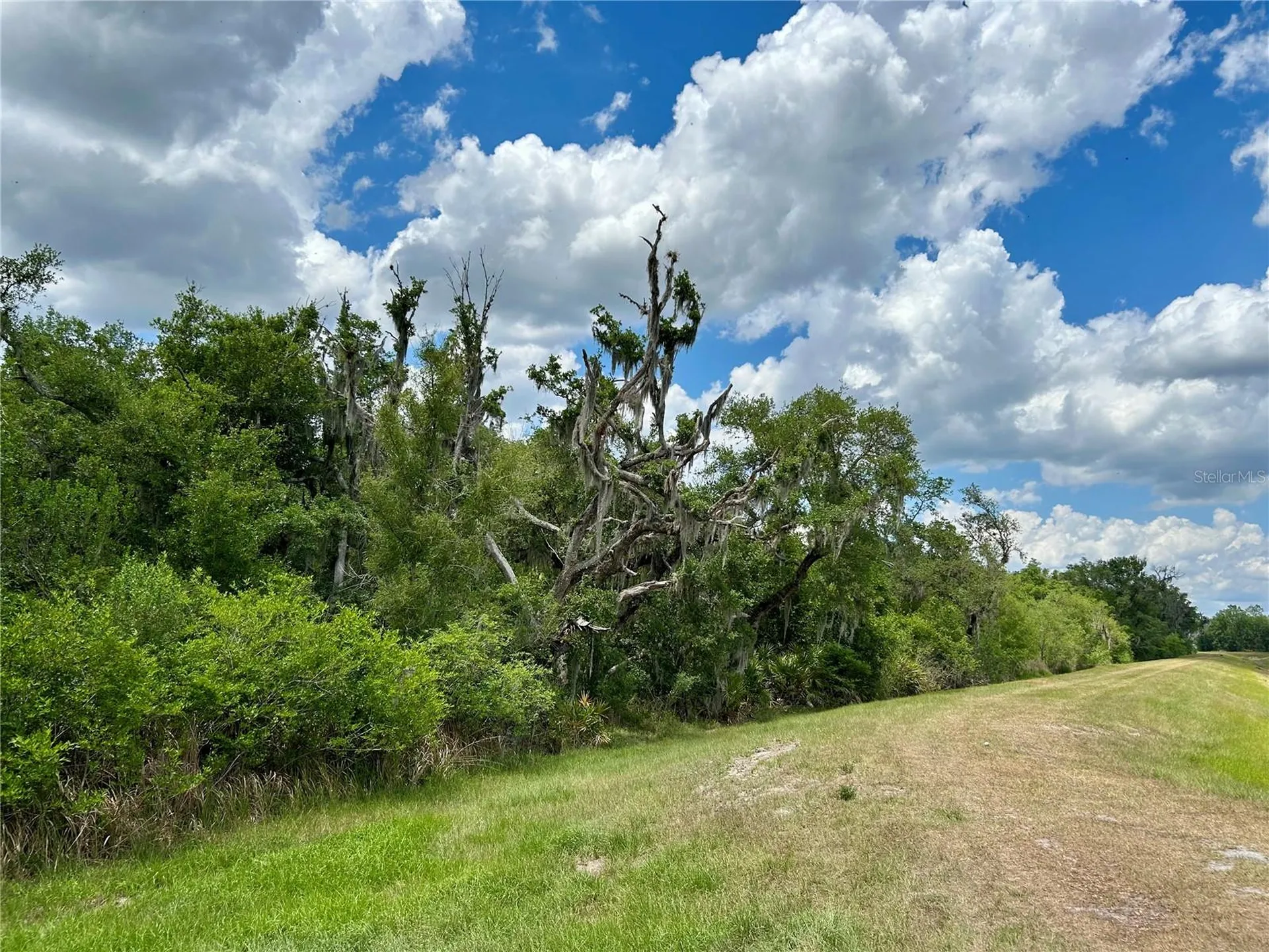 Bronco Drive Zolfo Springs FL 33890