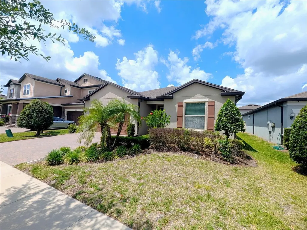 18810 Birchwood Groves Drive Lutz FL 33558
