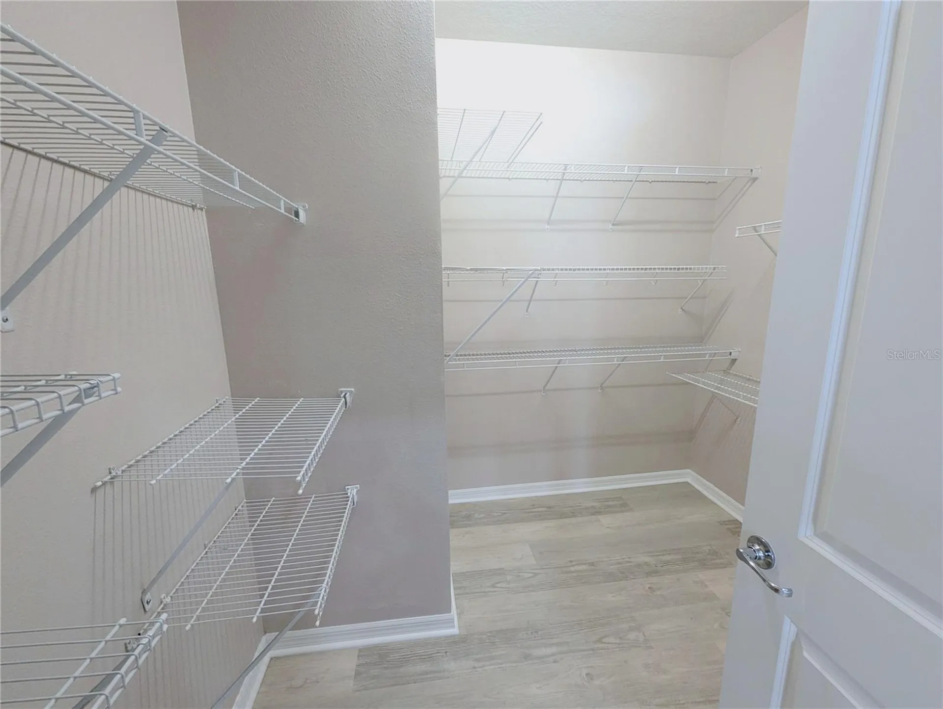 18810 Birchwood Groves Drive Lutz FL 33558