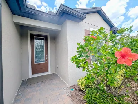 18810 Birchwood Groves Drive Lutz FL 33558