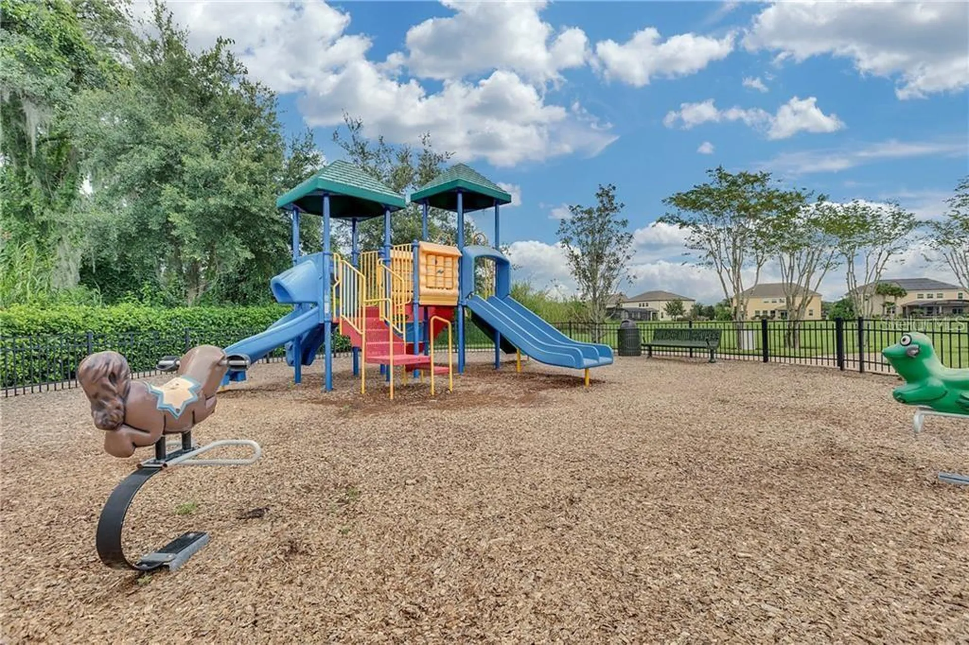402 Egret Place Drive Winter Garden FL 34787