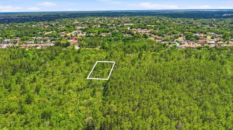 Brentwood (paper) Avenue Deltona FL 32725