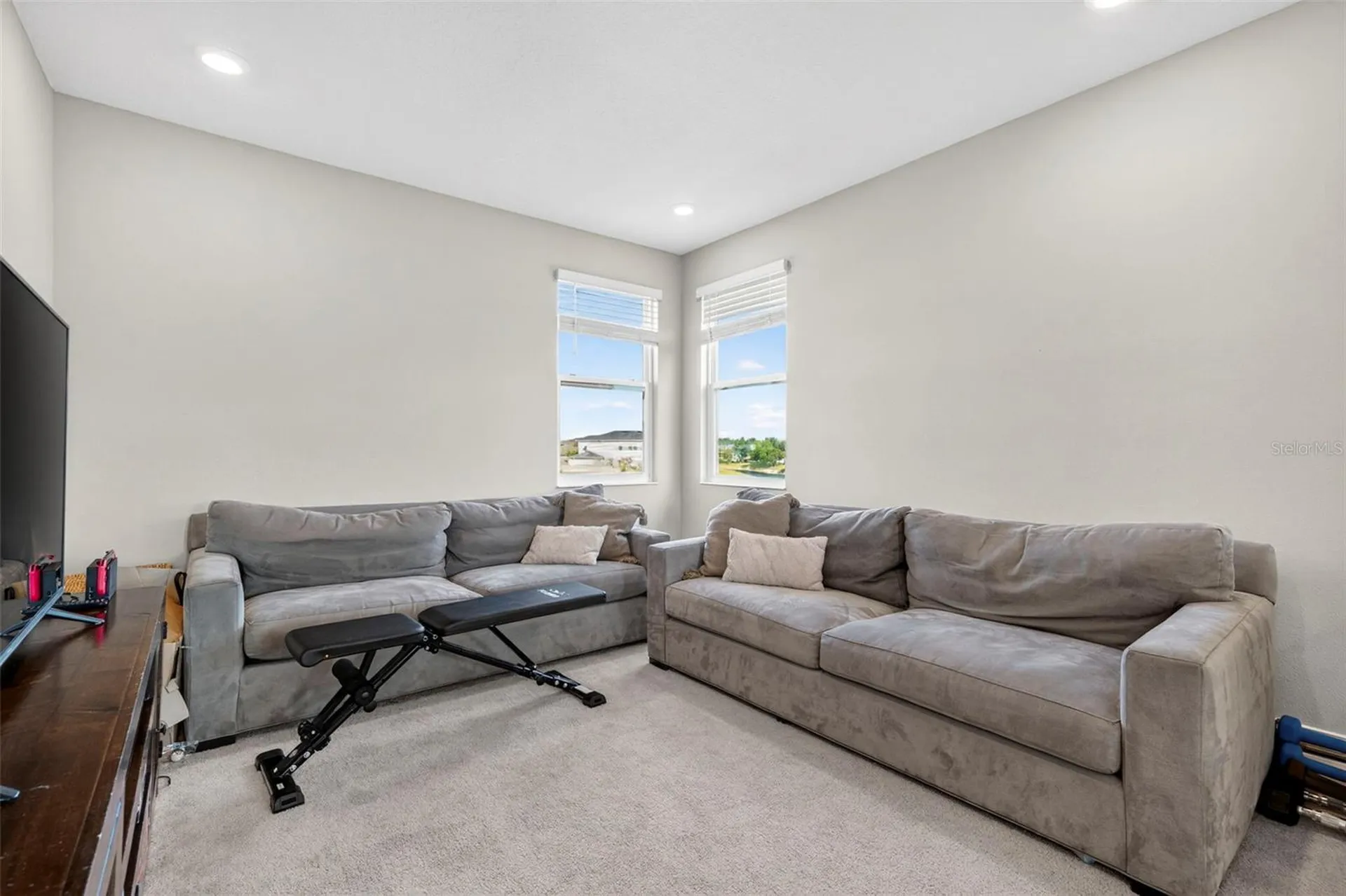 4588 San Martino Drive Wesley Chapel FL 33543