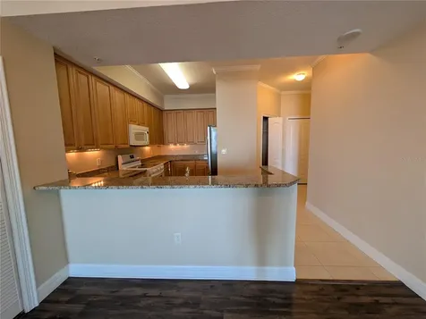 4516 Seagull Drive New Port Richey FL 34652