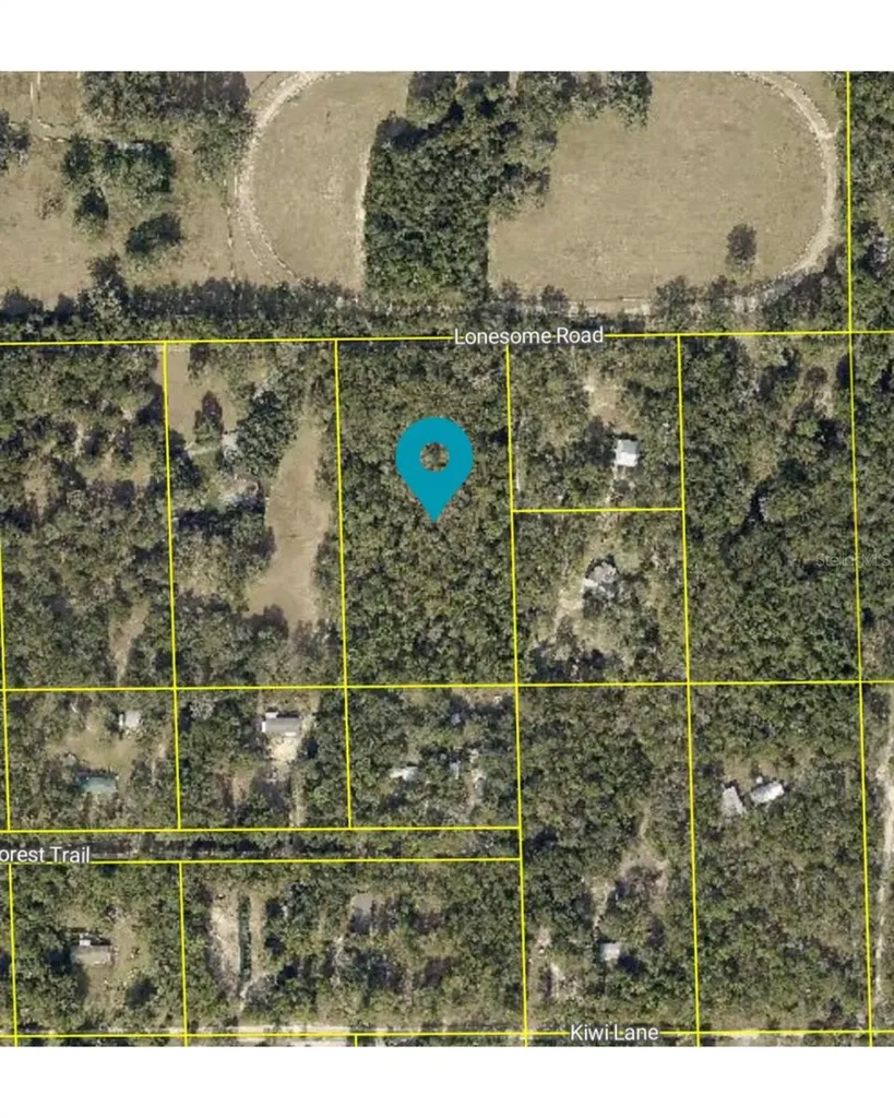 Lonesome Road Brooksville FL 34601