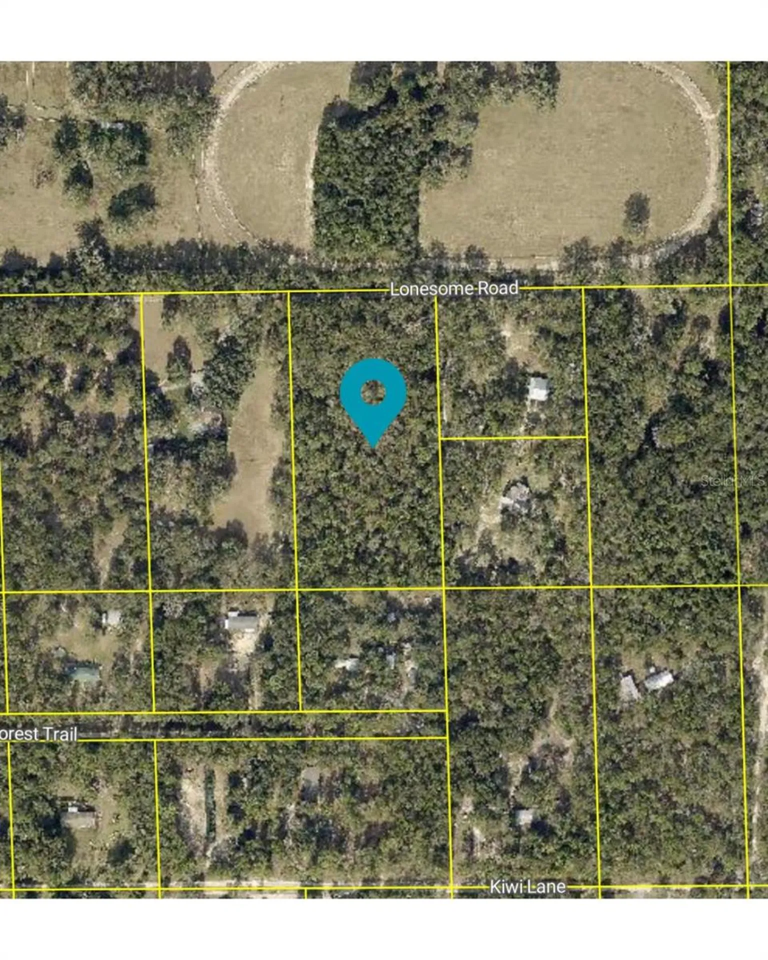 Lonesome Road Brooksville FL 34601