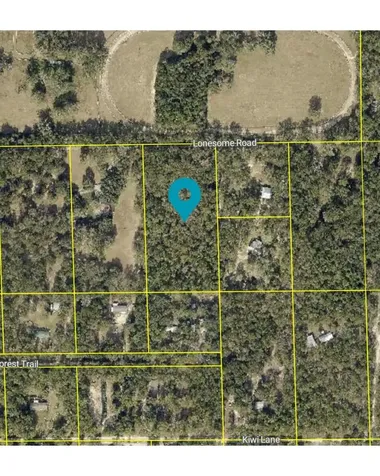 Lonesome Road Brooksville FL 34601