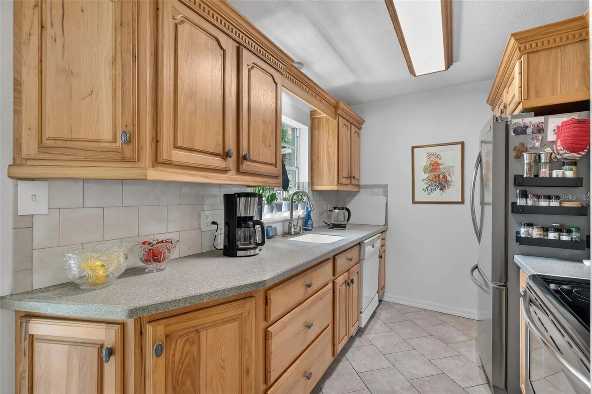 10 Shorthorn Drive Apopka FL 32712
