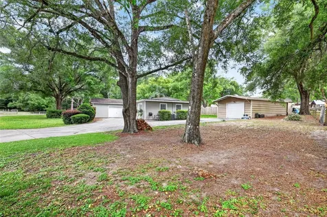 10 Shorthorn Drive Apopka FL 32712