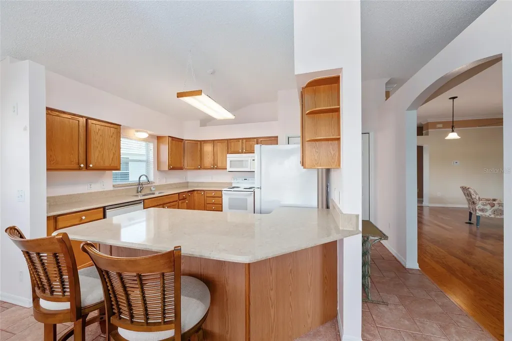 1709 Madero Drive The Villages FL 32159