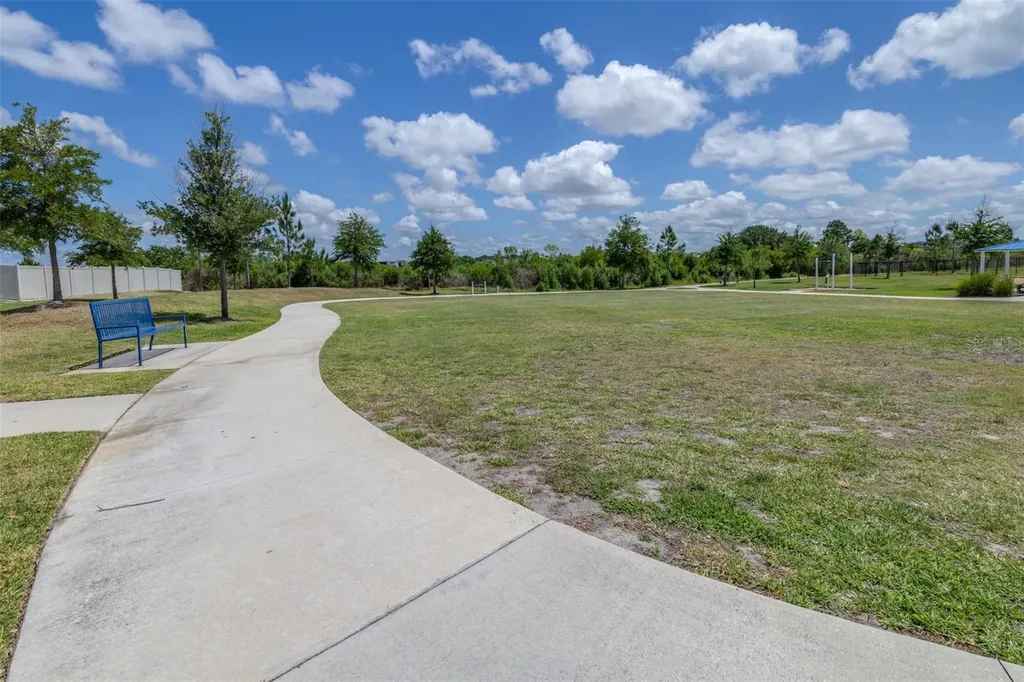 31366 Barrel Wave Way Wesley Chapel FL 33545