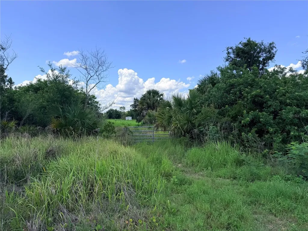 29455 Pine Villa Circle Punta Gorda FL 33982