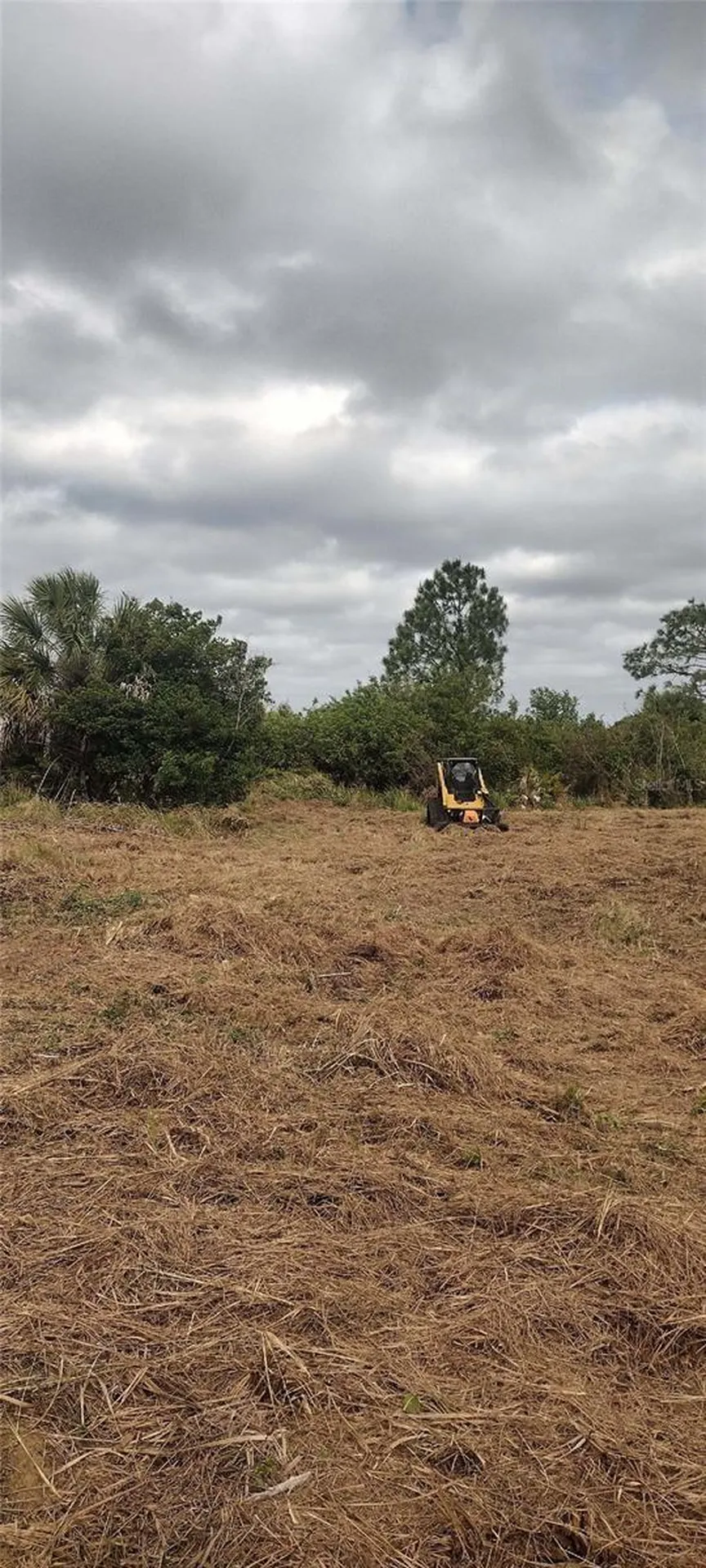 29455 Pine Villa Circle Punta Gorda FL 33982